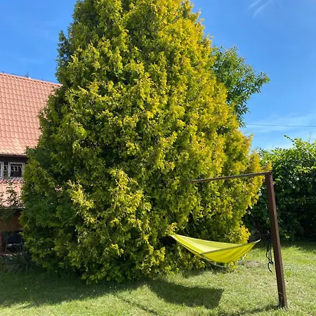 Romantyczny Zakatek W Wincu *