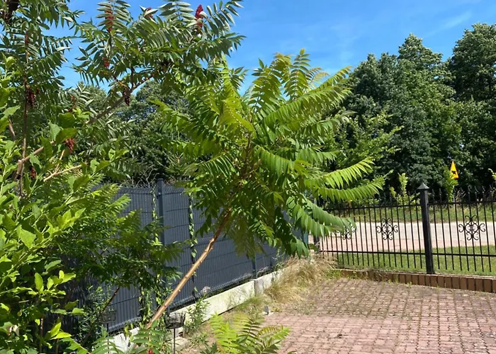 Romantyczny Zakatek W Wincu Holiday home *